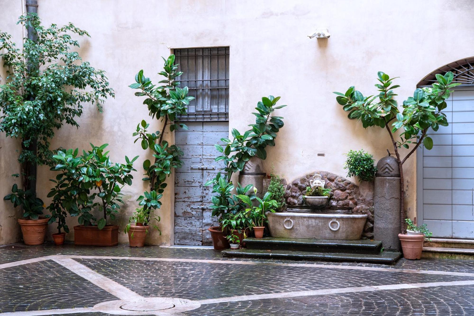 Il Sogno Delle Tartarughe Apartment Rom